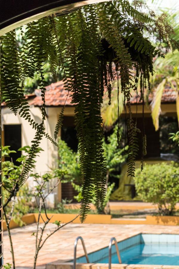 Villa Bem Querer - Suite Mairiporã Dış mekan fotoğraf