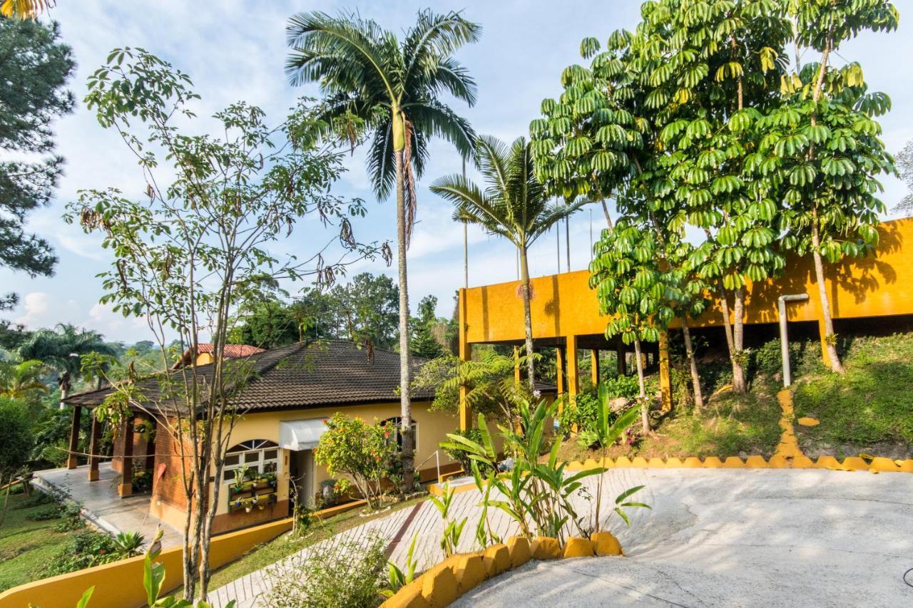Villa Bem Querer - Suite Mairiporã Dış mekan fotoğraf